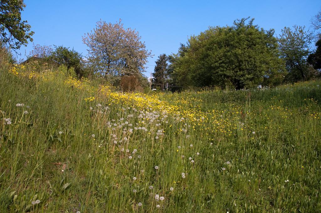 Ponteranica Angelo Del Lotto Bed & Breakfast エクステリア 写真