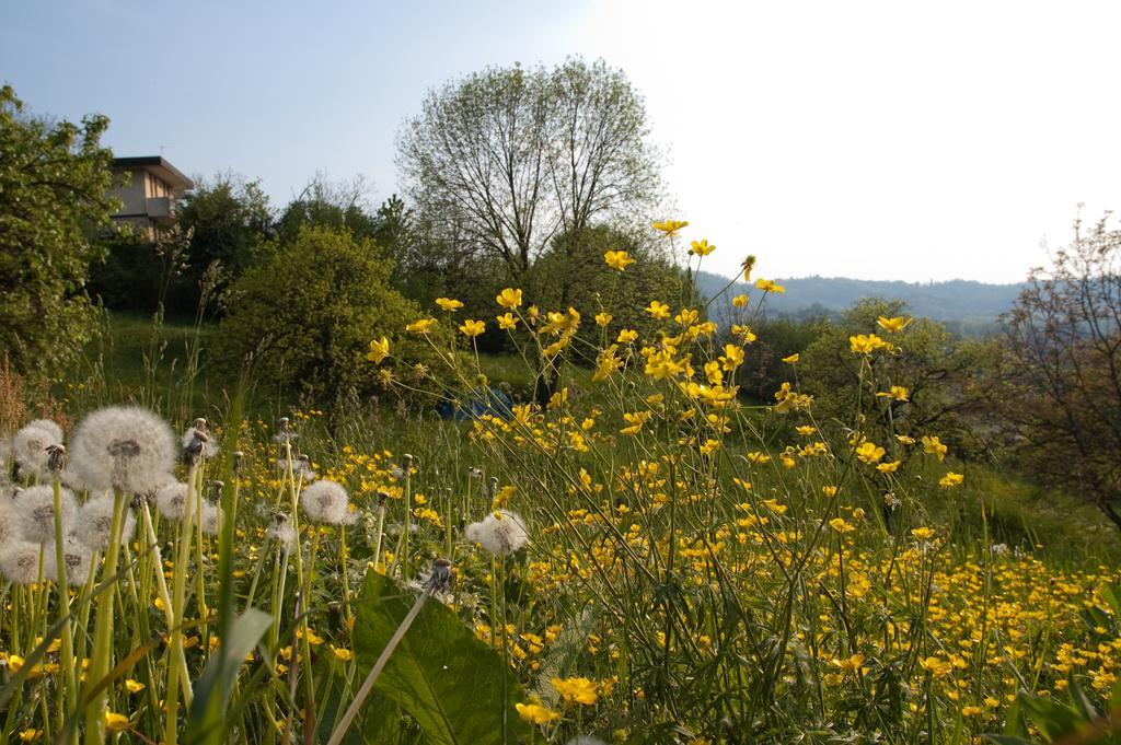 Ponteranica Angelo Del Lotto Bed & Breakfast エクステリア 写真