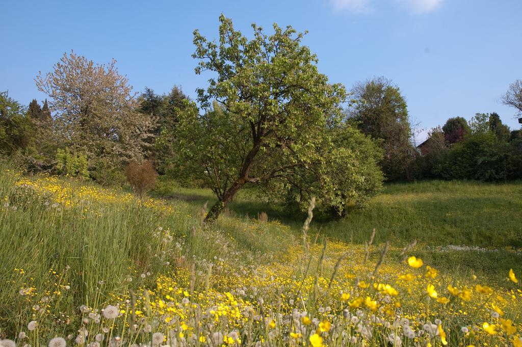 Ponteranica Angelo Del Lotto Bed & Breakfast エクステリア 写真