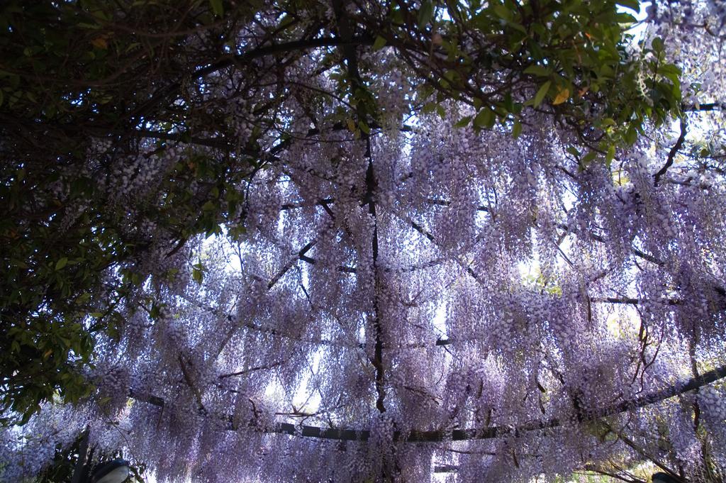 Ponteranica Angelo Del Lotto Bed & Breakfast エクステリア 写真